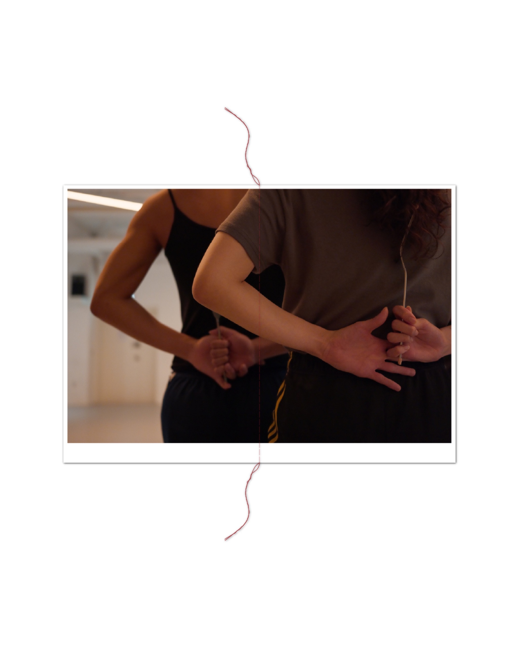 Subverted Anatomical Landscape ≪GAMMA≫ - 8