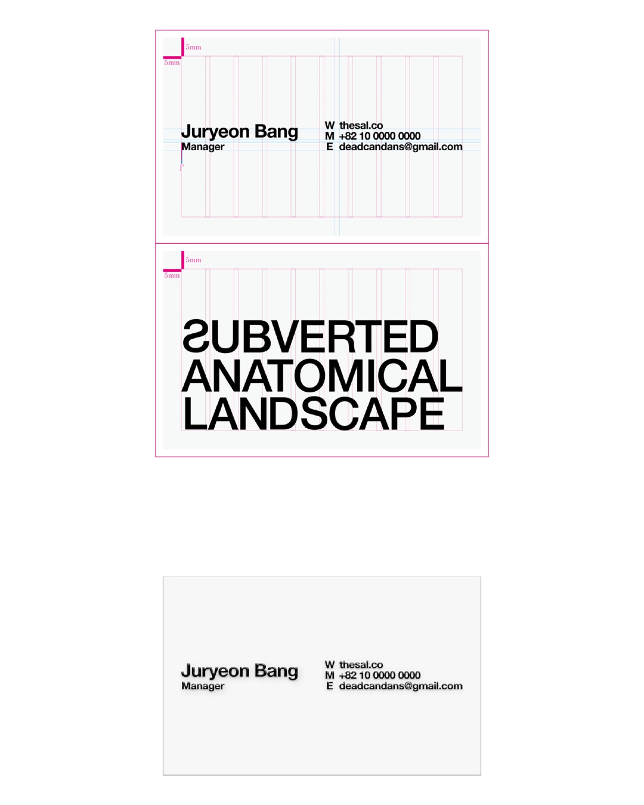 Subverted Anatomical Landscape BusinessCard - 4