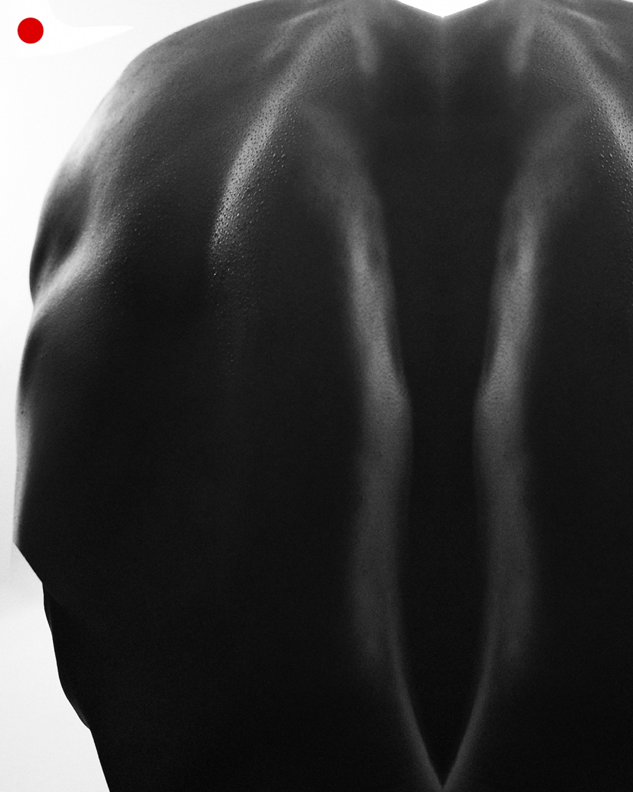 Subverted Anatomical Landscape ≪KILL≫ - 4