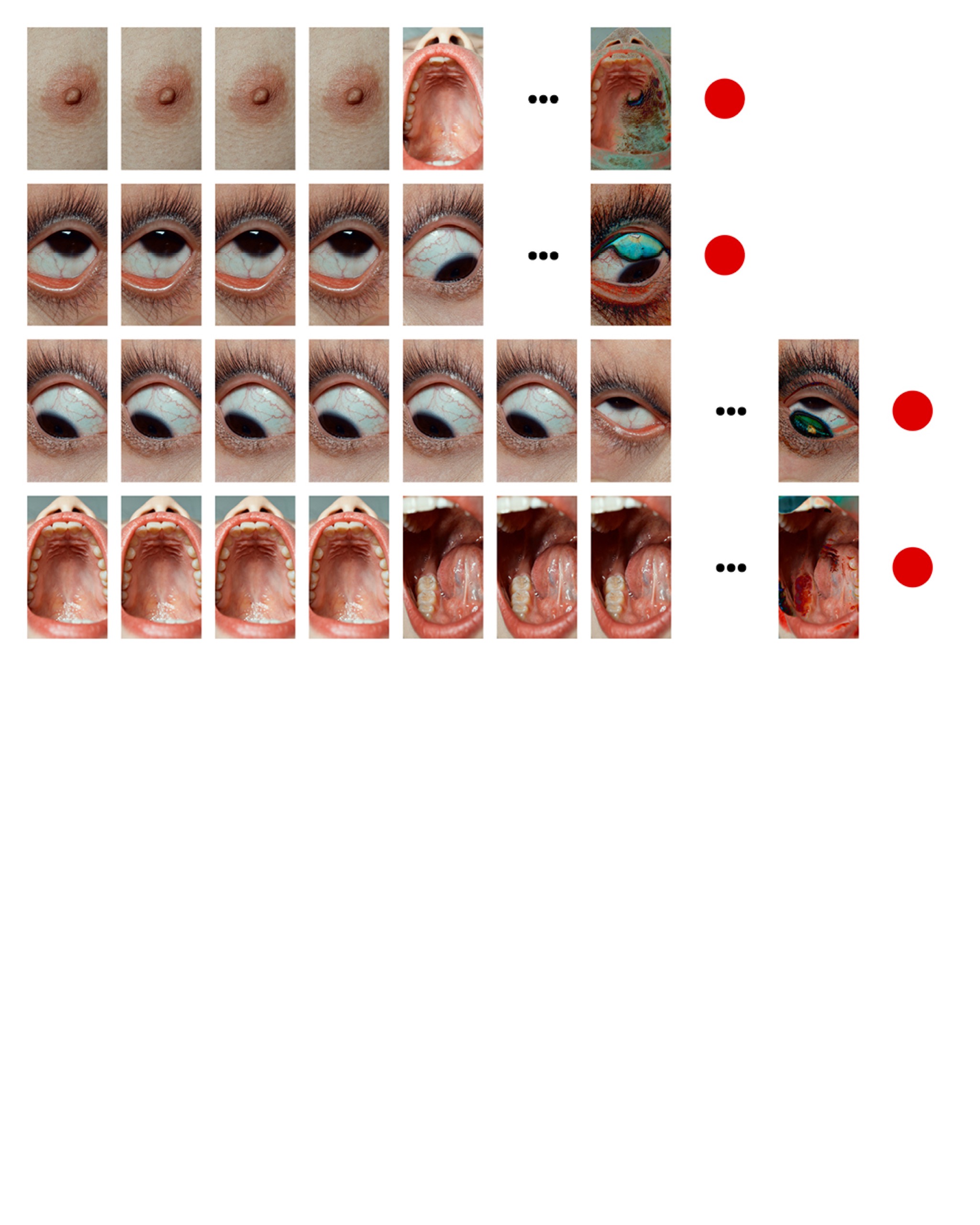 Subverted Anatomical Landscape ≪KILL≫ - 5