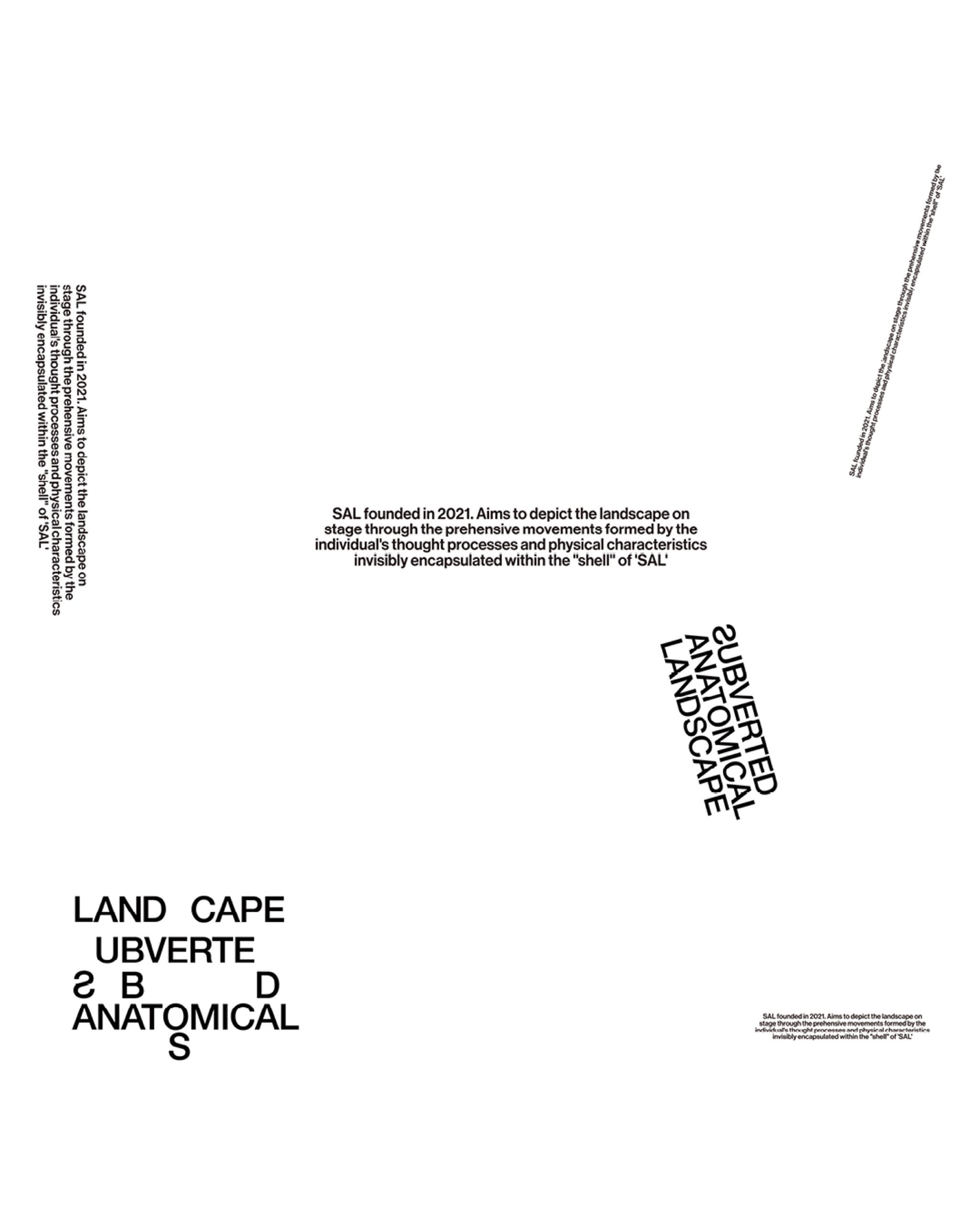 Subverted Anatomical Landscape ≪KILL≫ - 41