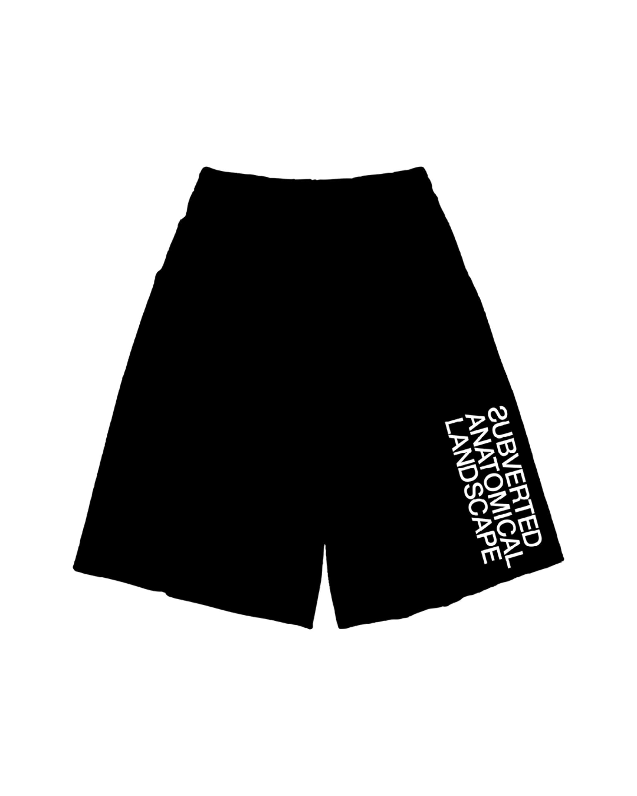 Subverted Anatomical Landscape ≪KILL≫ - 46