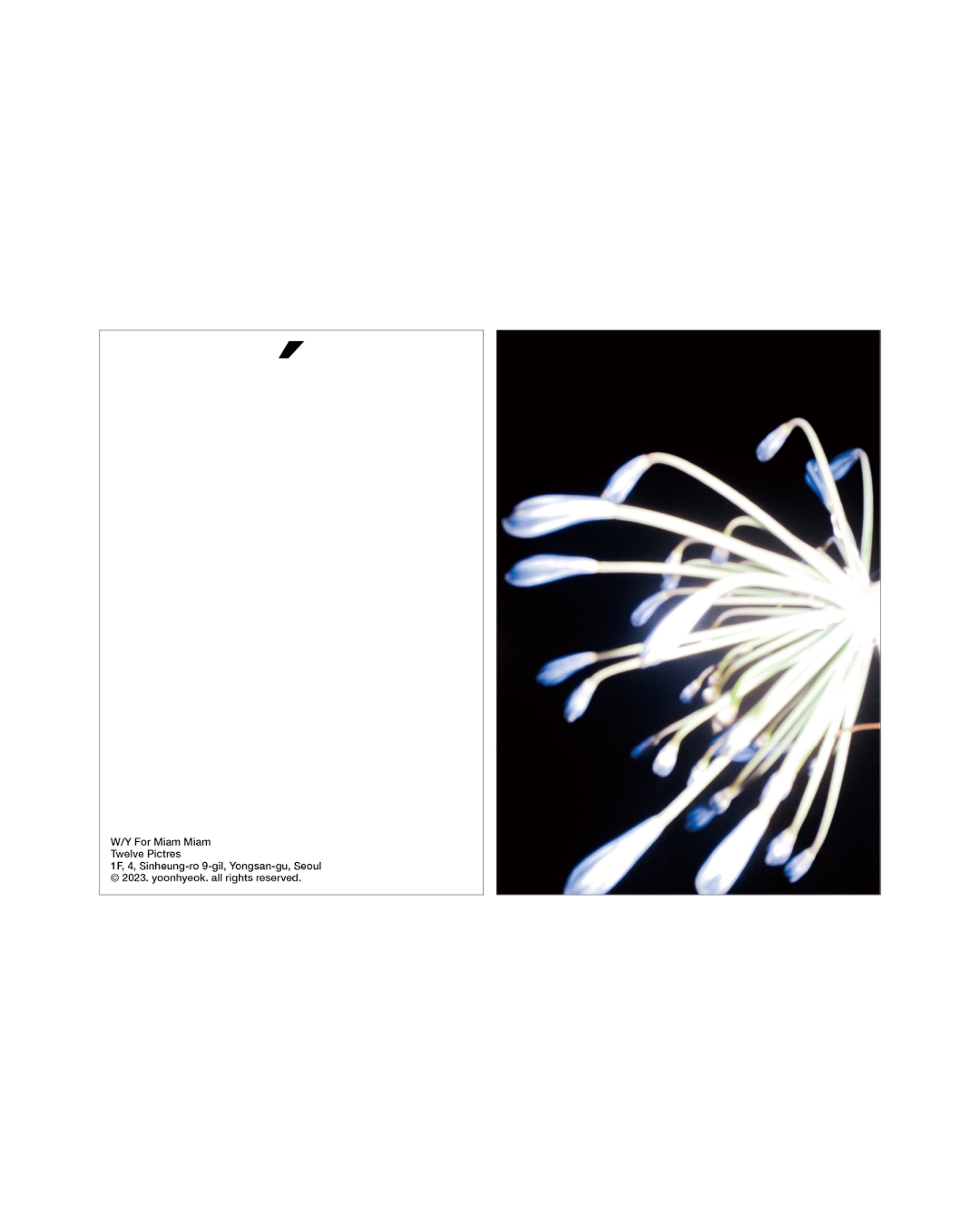 Photographer Choi Won-hyuk ≪MiamMiam≫ - 3