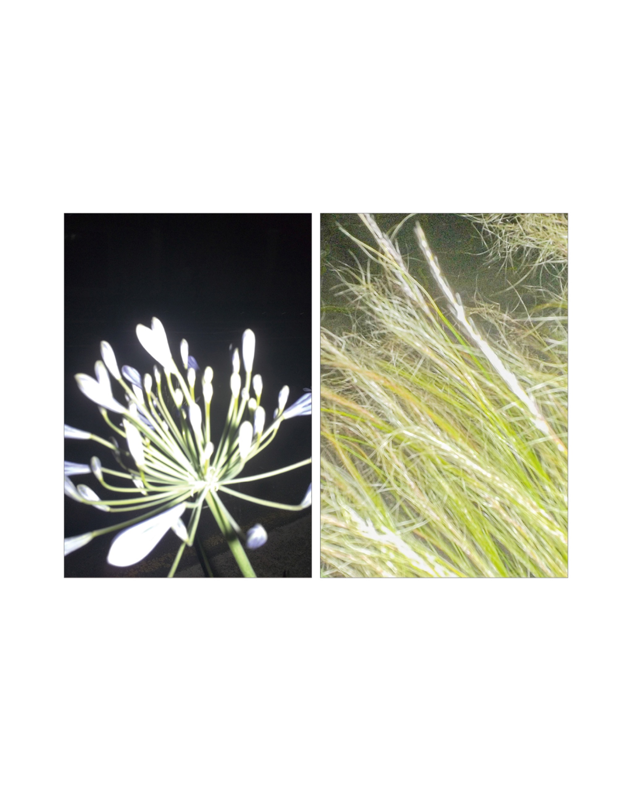 Photographer Choi Won-hyuk ≪MiamMiam≫ - 4