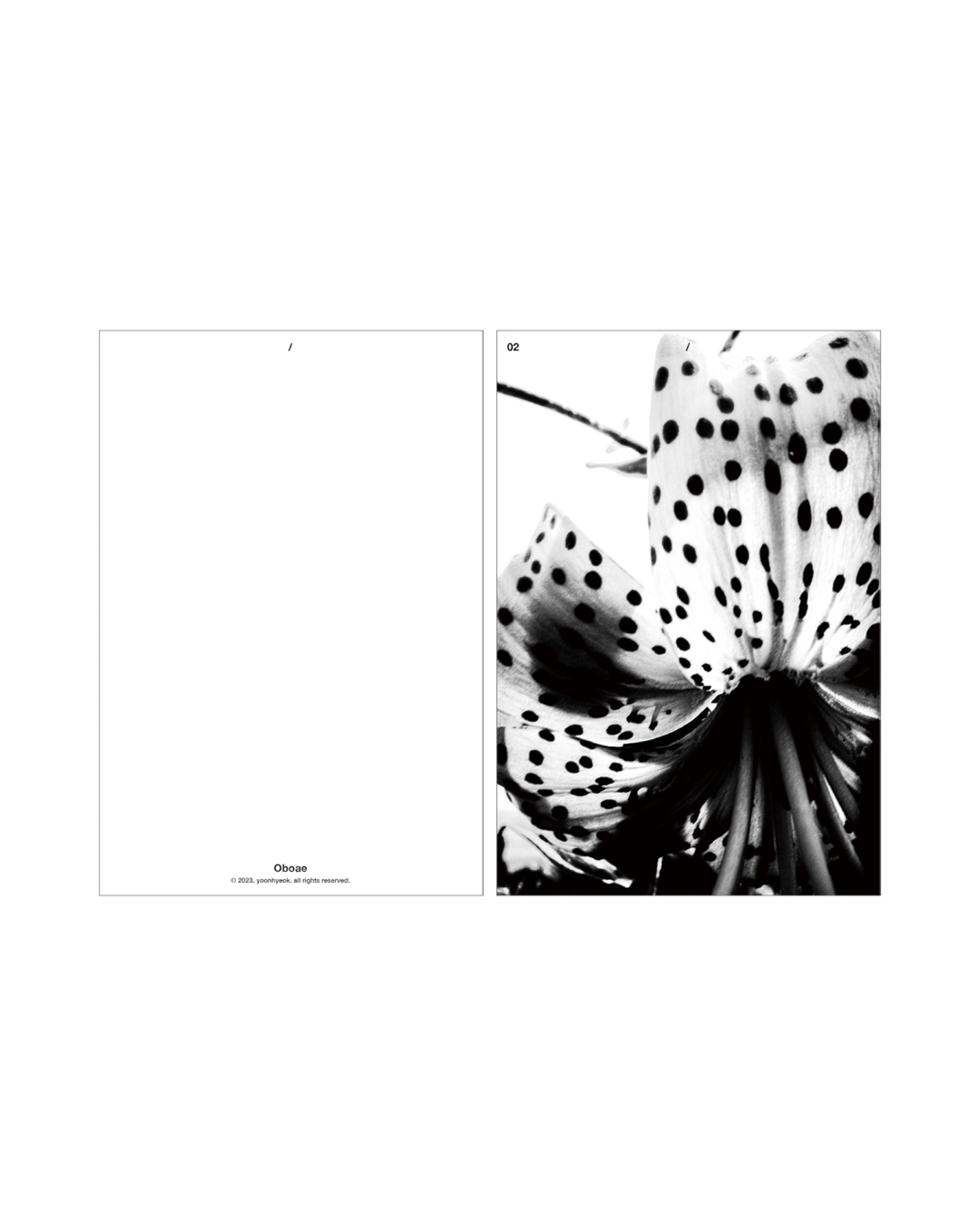 Oboae x Photographer Choi Won-hyuk - 5